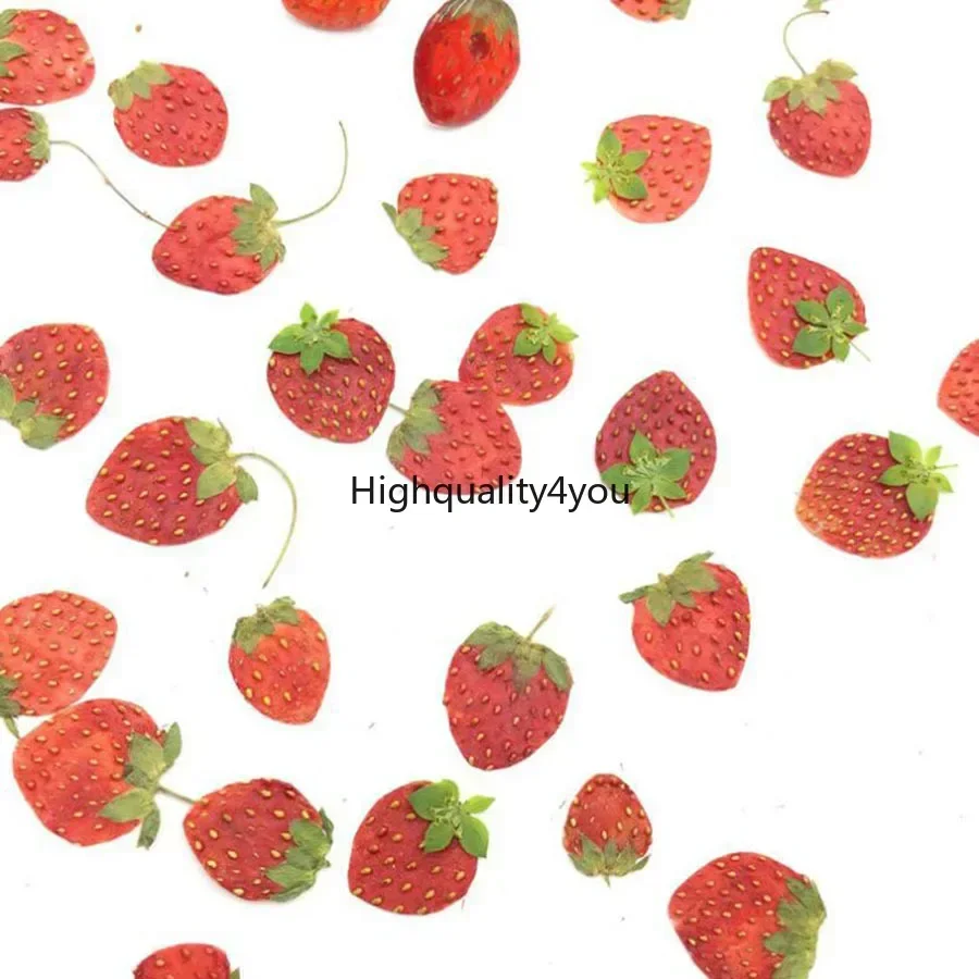 Dried Flower Bookmark - Mini fruta prensada seca de 10