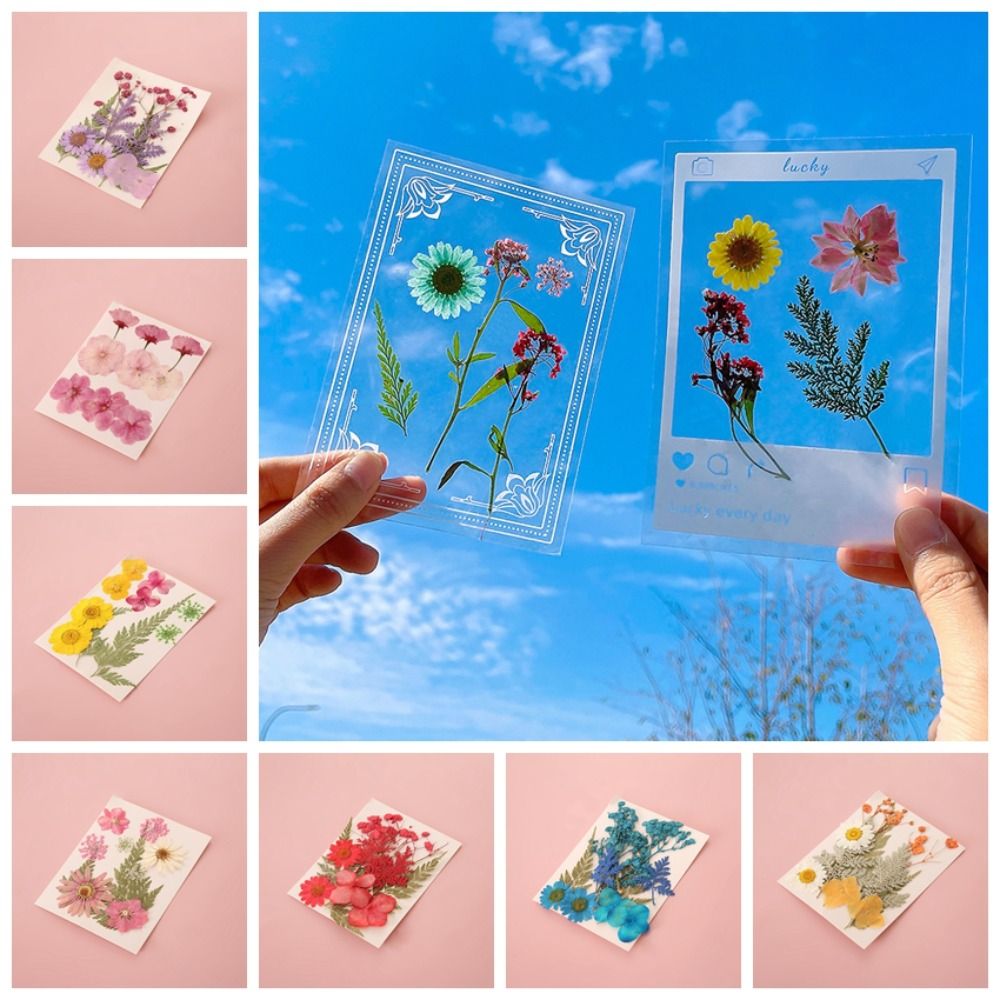 Materiales para Manualidades,  - Dried Flower Bookmark reseña y precio