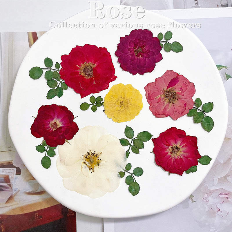 60 uds prensado seco rojo amar - Dried Flower Bookmark reseña y precio
