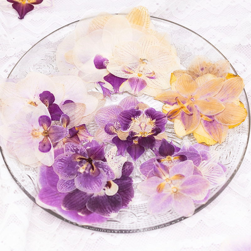 4 Piezas de Cabezas de Orquíde - Dried Flower Bookmark reseña y precio