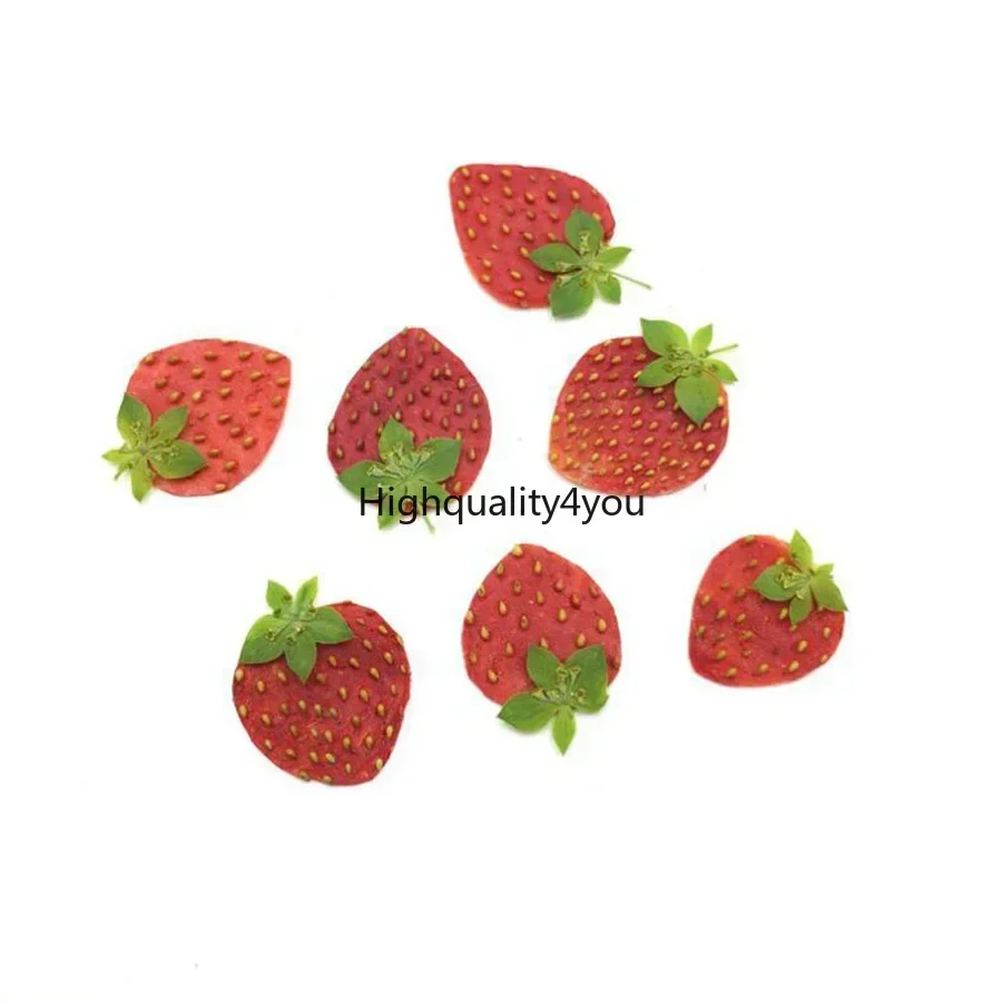 Mini fruta prensada seca de 10 - Dried Flower Bookmark reseña y precio
